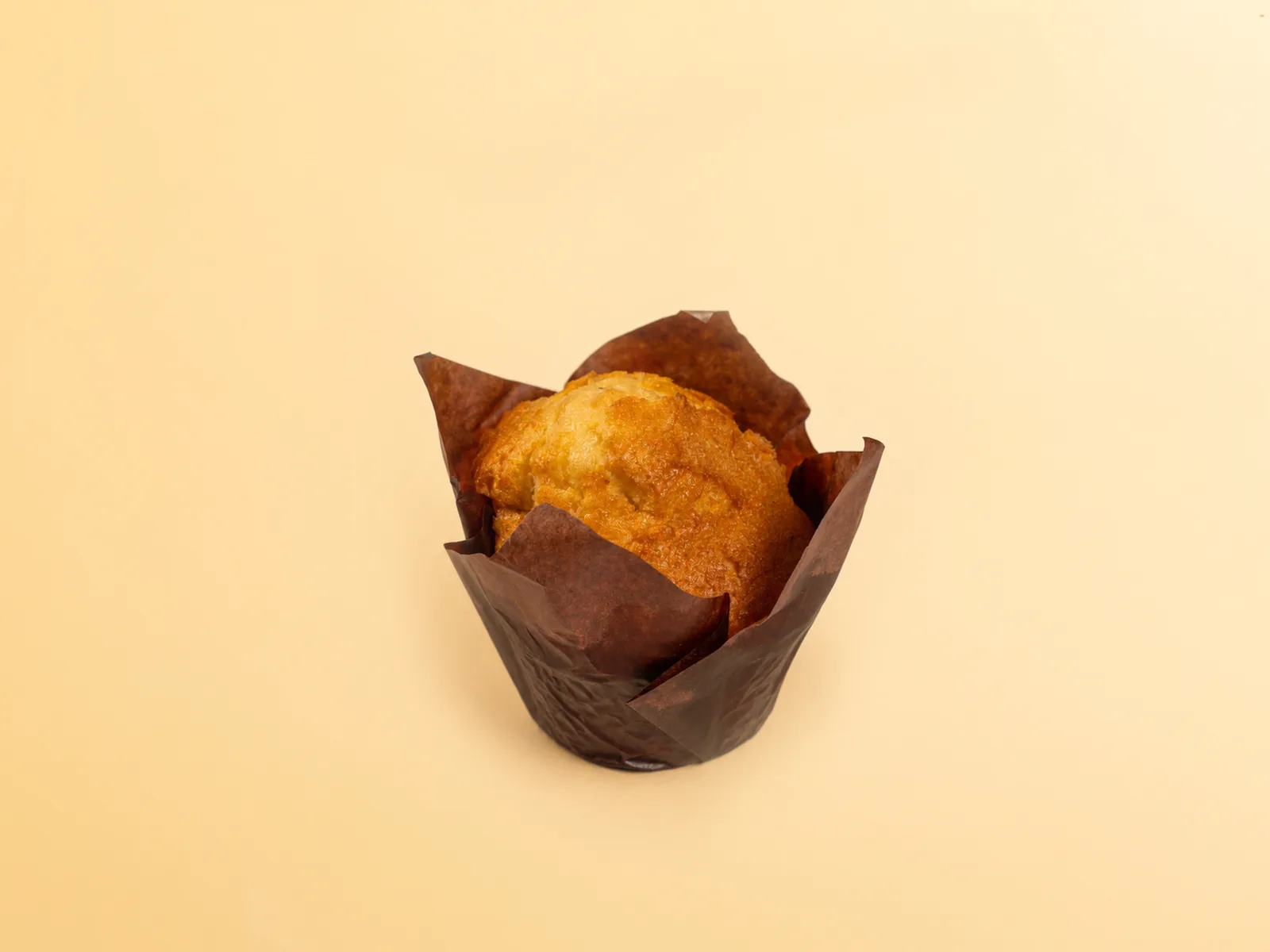 Muffins (Vanilla, Chocolate, Blueberry) - FiLLi Cafe